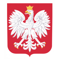 usługi informatyczne